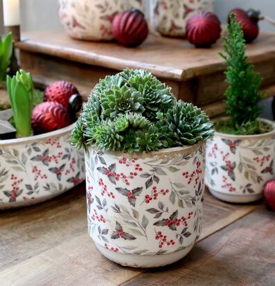 Bild med krämvit kruka, suckulenter och julkulor i stilleben