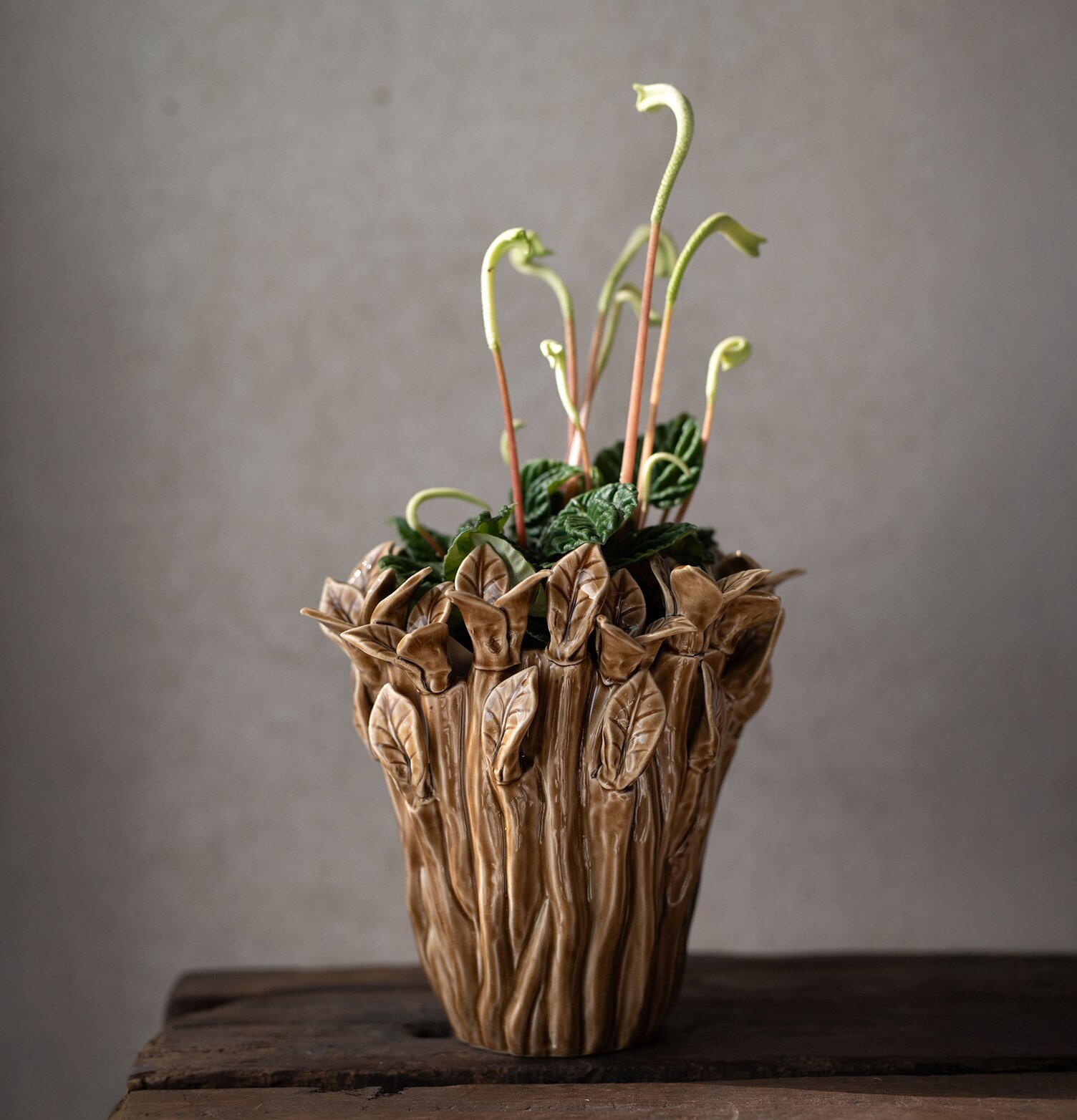 Kruka Justina 22x21cm Wikholm Form Krukor Örtkrukor Glaskrukor