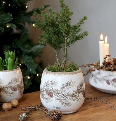 Bild: Stämningsfull vinterdekoration med krukor, gran och ljus