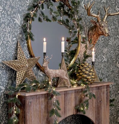 Bild av rustik öppen spis med säsongsbetonad dekoration