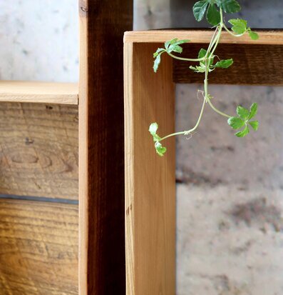 Bild på vägghylla i trä med växt och dekor mot tegelvägg