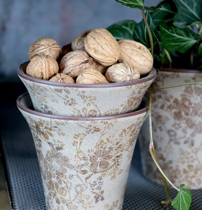 Bild av staplade keramikkrukor med valnötter och klätterväxt