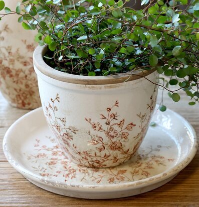 Bild av keramikkruka med fat och växt i harmonisk miljö