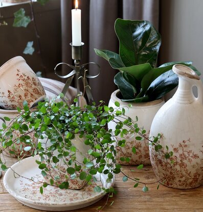 Bild av harmoniskt vardagsrum med keramik och gröna växter