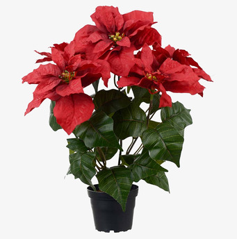Julstjärna Röd 45cm Mr Plant Konstväxter Konstblommor Plastväxter Plastblommor