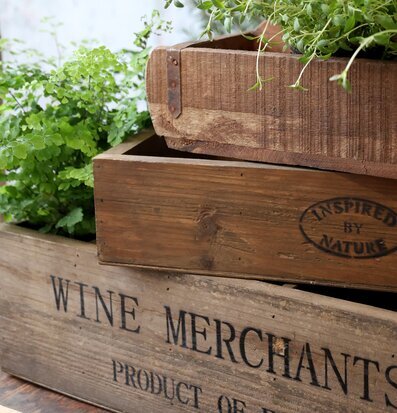 Förvaringslåda Trä - Wine Merchants Chic Antique Förvaringslådor och korgar Boxar Förvaringsboxar Porslinsboxar Trälådor Smyckesboxar i