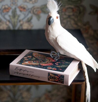 Foto: Vit kakadua på dekorativ bokask med fjärilar