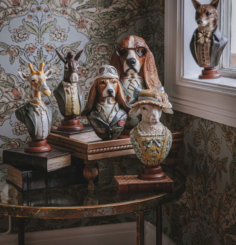 Byst Basset Hund Glasögon A Lot Decoration Byster