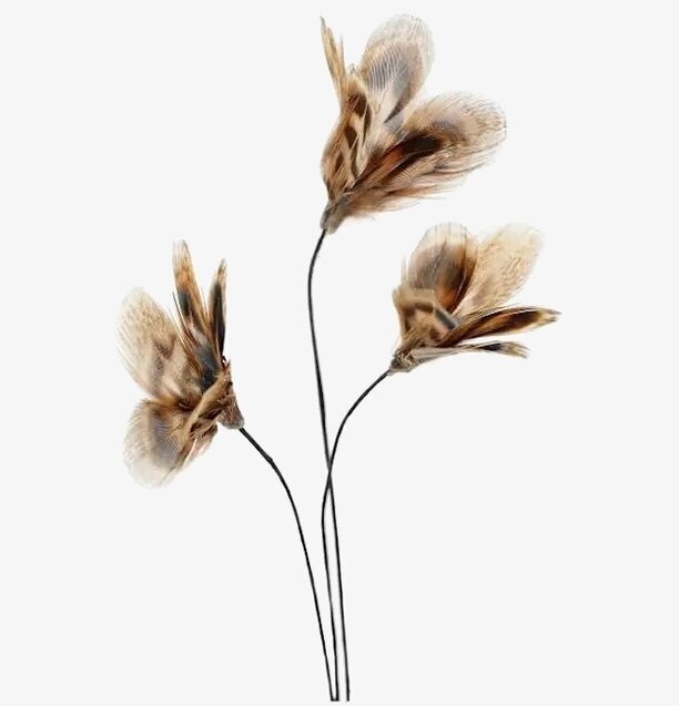 Fjäder Trådad Blom Rand A Lot Decoration Övrig prydnad/dekoration för inredning innemiljö