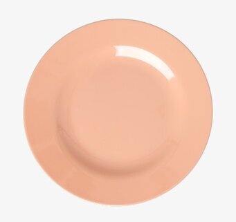 Foto: Pastellrosa rund melaminassiett på vit bakgrund