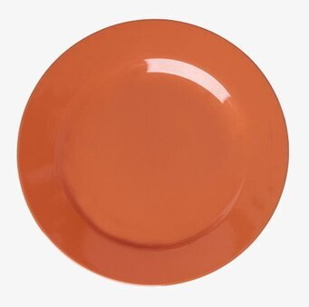 Foto: Orange melaminassiett på vit bakgrund uppifrån