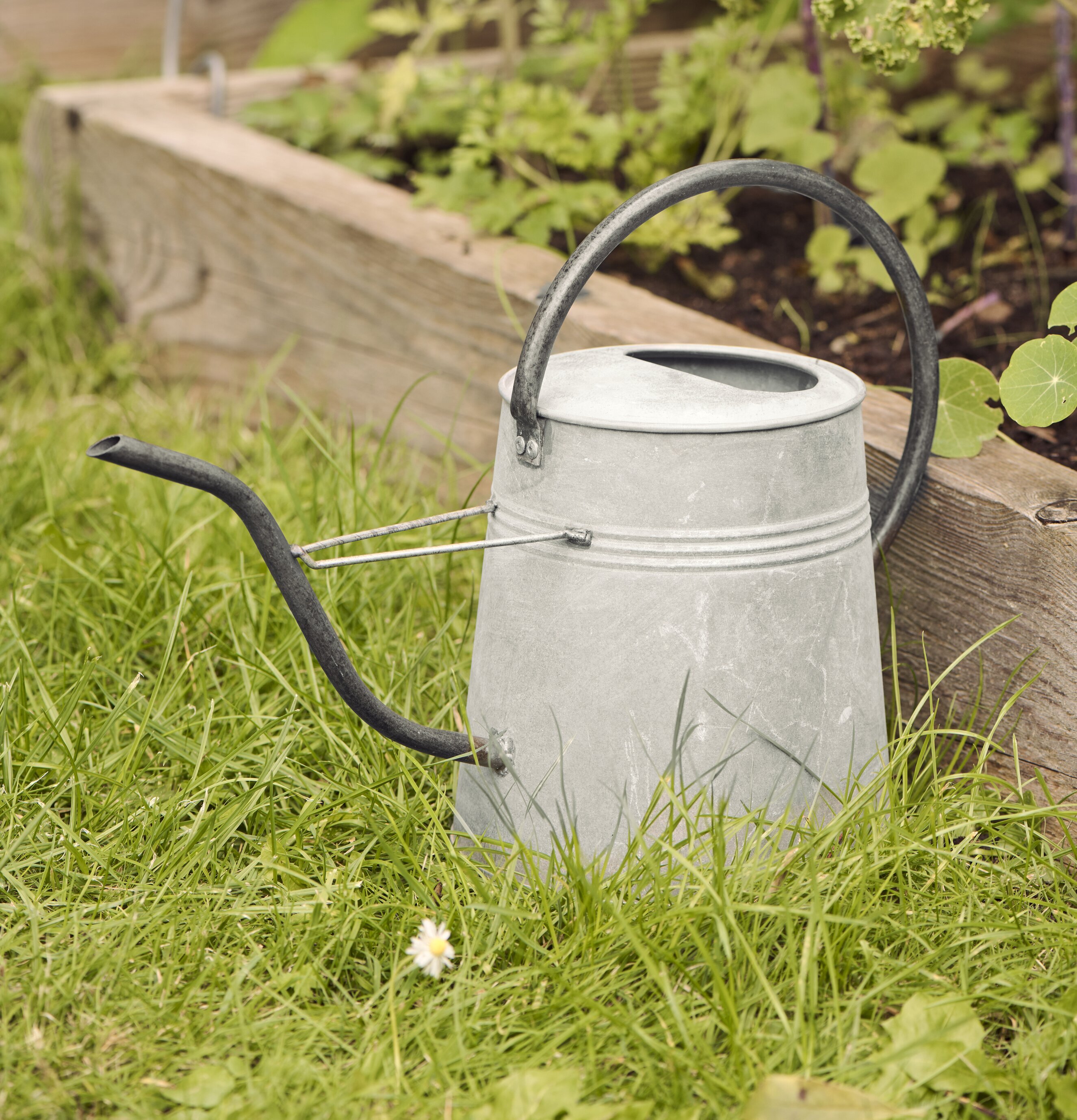Vattenkanna Grå 2.3 liter IB Laursen Vattenkannor för utomhusbruk