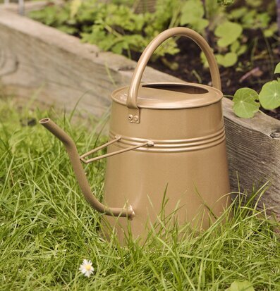 Foto: Guldbrun vattenkanna i gräs vid odlingslåda