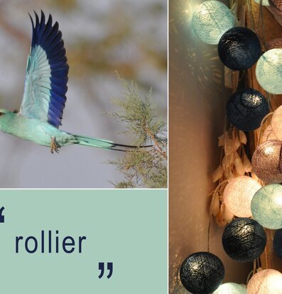 Bild: Harmonisk Komposition av Fågel och Ljusslinga