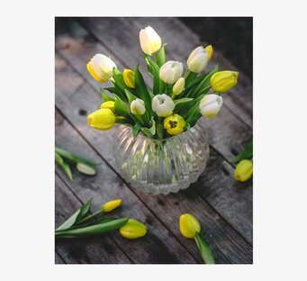 Foto: Gul och vit tulpanbukett i glasvas på träbord