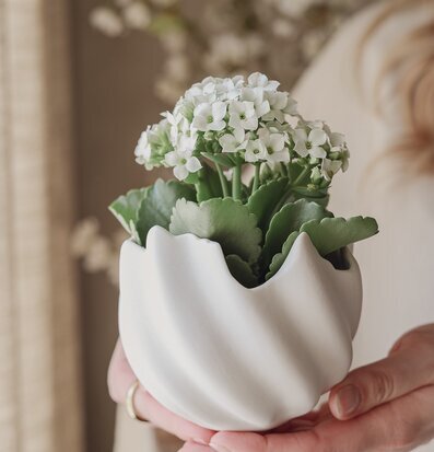 Foto: Vit vågig skål med grön växt och blommor
