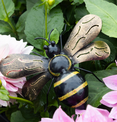 Foto: Hamrad metallhumla bland rosa dahlior och bladverk