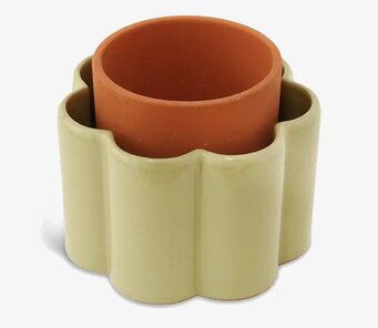 Foto: Självvattnande kruka salviagrön med insats