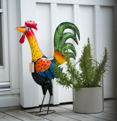 Foto: Färgstark tupp i hamrad plåt vid vit fasad