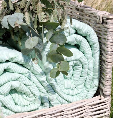 Foto: Rottingkorg med grönvit randig pläd ute