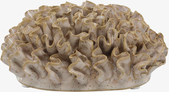 Foto av korallformad dekoration i lattebeige toner