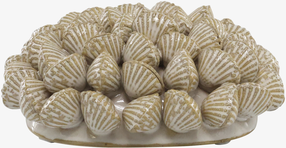 Dekoration Snäcka Chic Antique Övrig prydnad/dekoration för inredning innemiljö