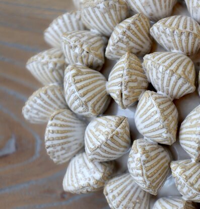 Foto: Snäckdekorationer i vitt och beige på träbord