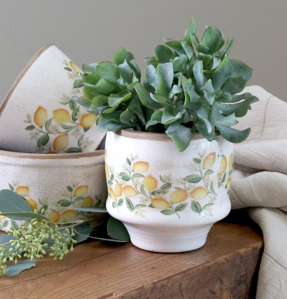 Kruka Limone Blossom H14cm Chic Antique Krukor Örtkrukor Glaskrukor