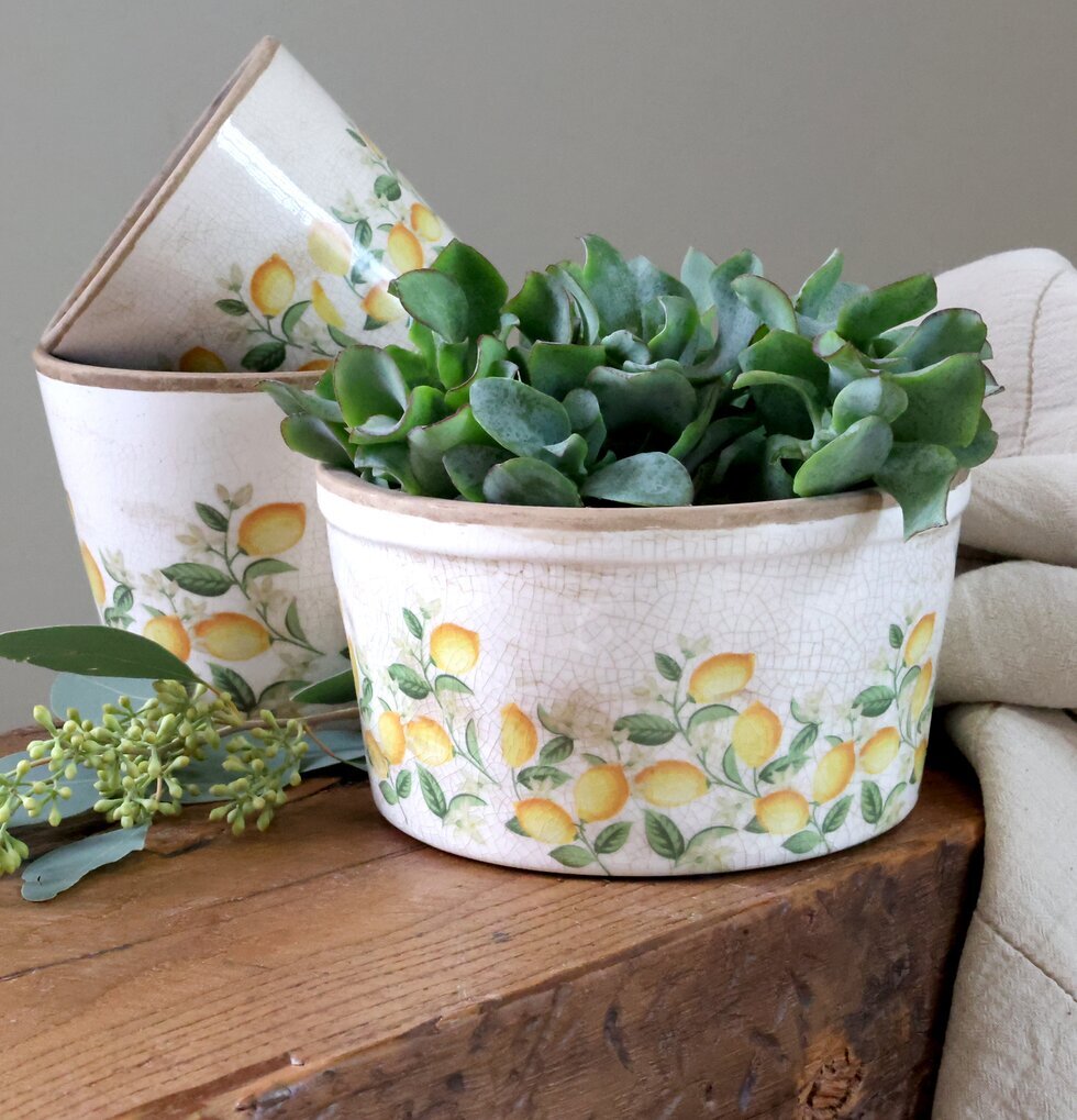 Kruka Limone Blossom Chic Antique Krukor Örtkrukor Glaskrukor