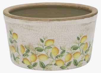 Kruka Limone Blossom Chic Antique Krukor Örtkrukor Glaskrukor