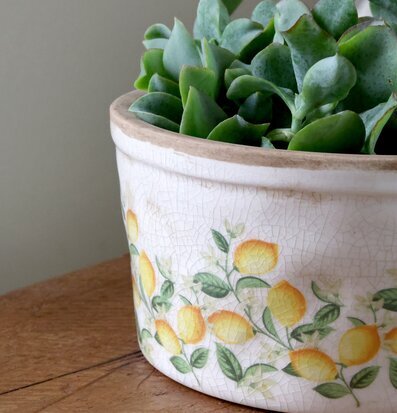 Kruka Limone Blossom Chic Antique Krukor Örtkrukor Glaskrukor