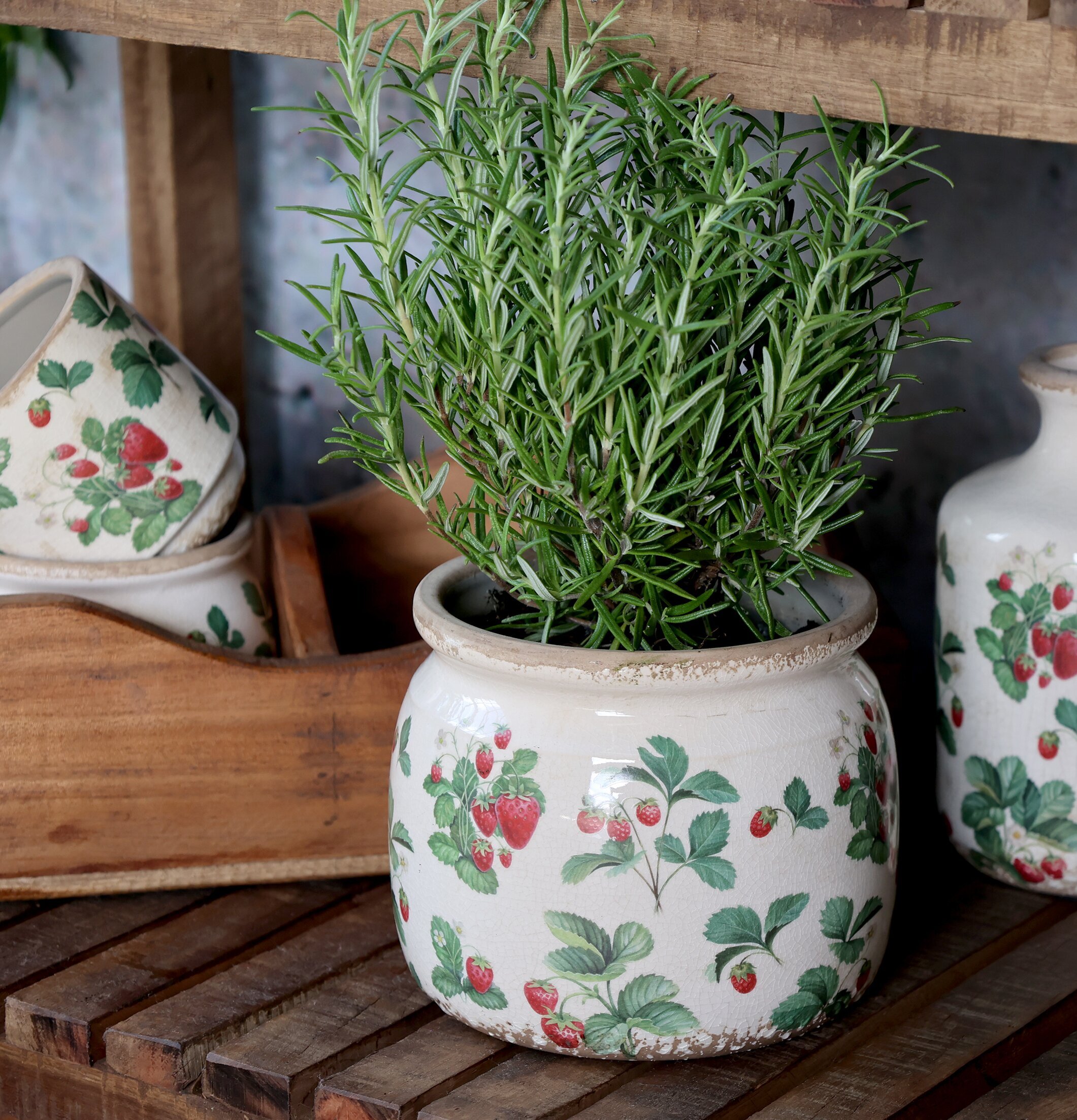 Fraises Kruka Jordgubbar Ø15,5cm Chic Antique Krukor Örtkrukor Glaskrukor