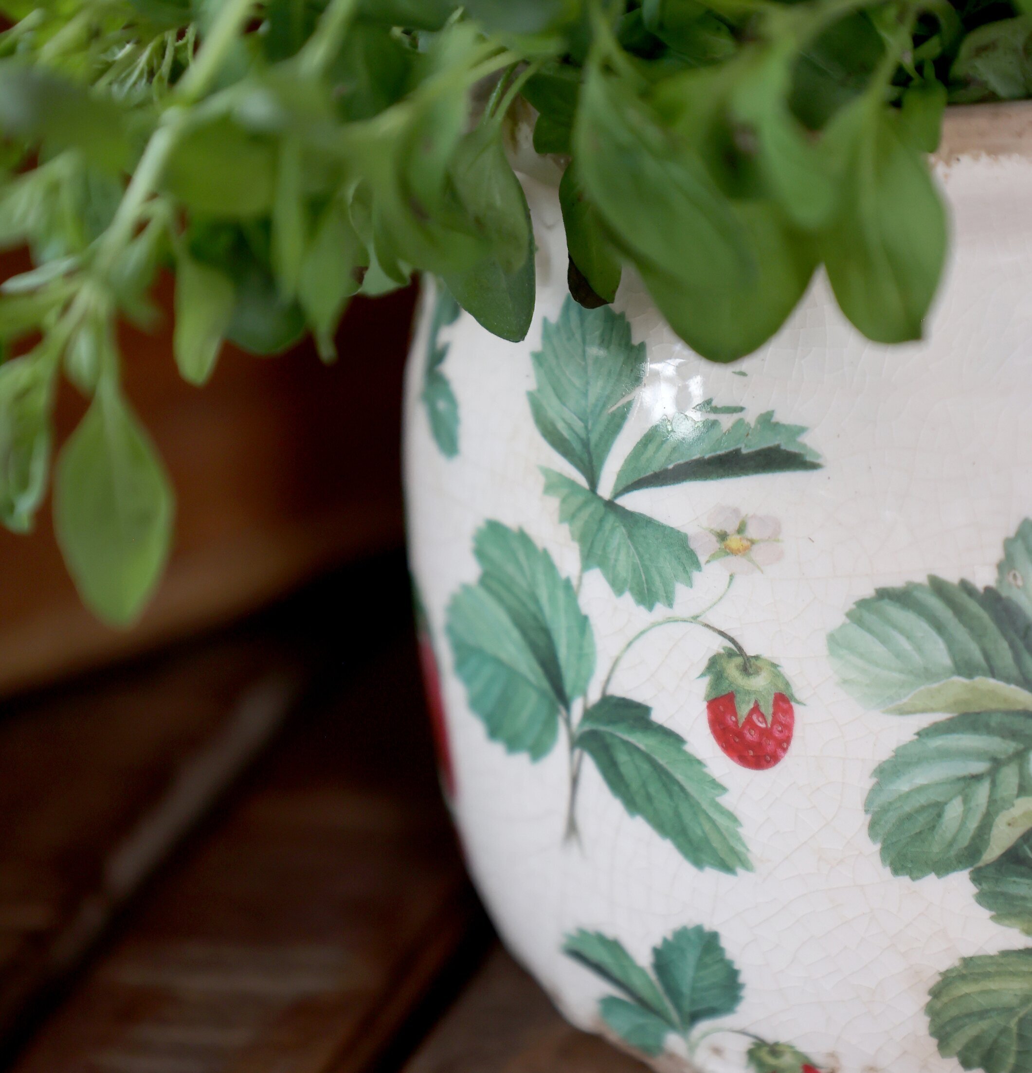 Fraises Kruka Jordgubbar Ø15,5cm Chic Antique Krukor Örtkrukor Glaskrukor