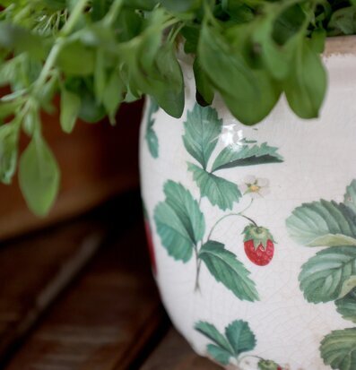 Foto: Krackelerad kruka med jordgubbar och bladverk