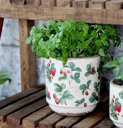 Foto: Vit kruka med jordgubbsmotiv på trähylla