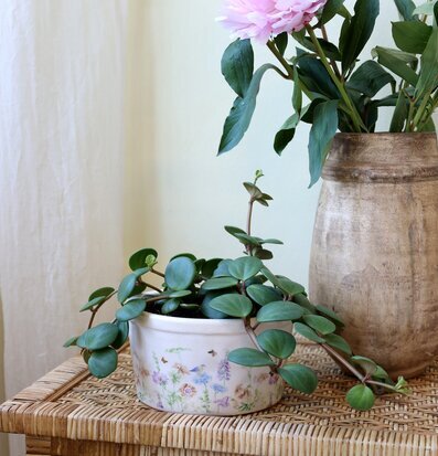 Bild på blomkruka med ängsmotiv och hängväxt inne