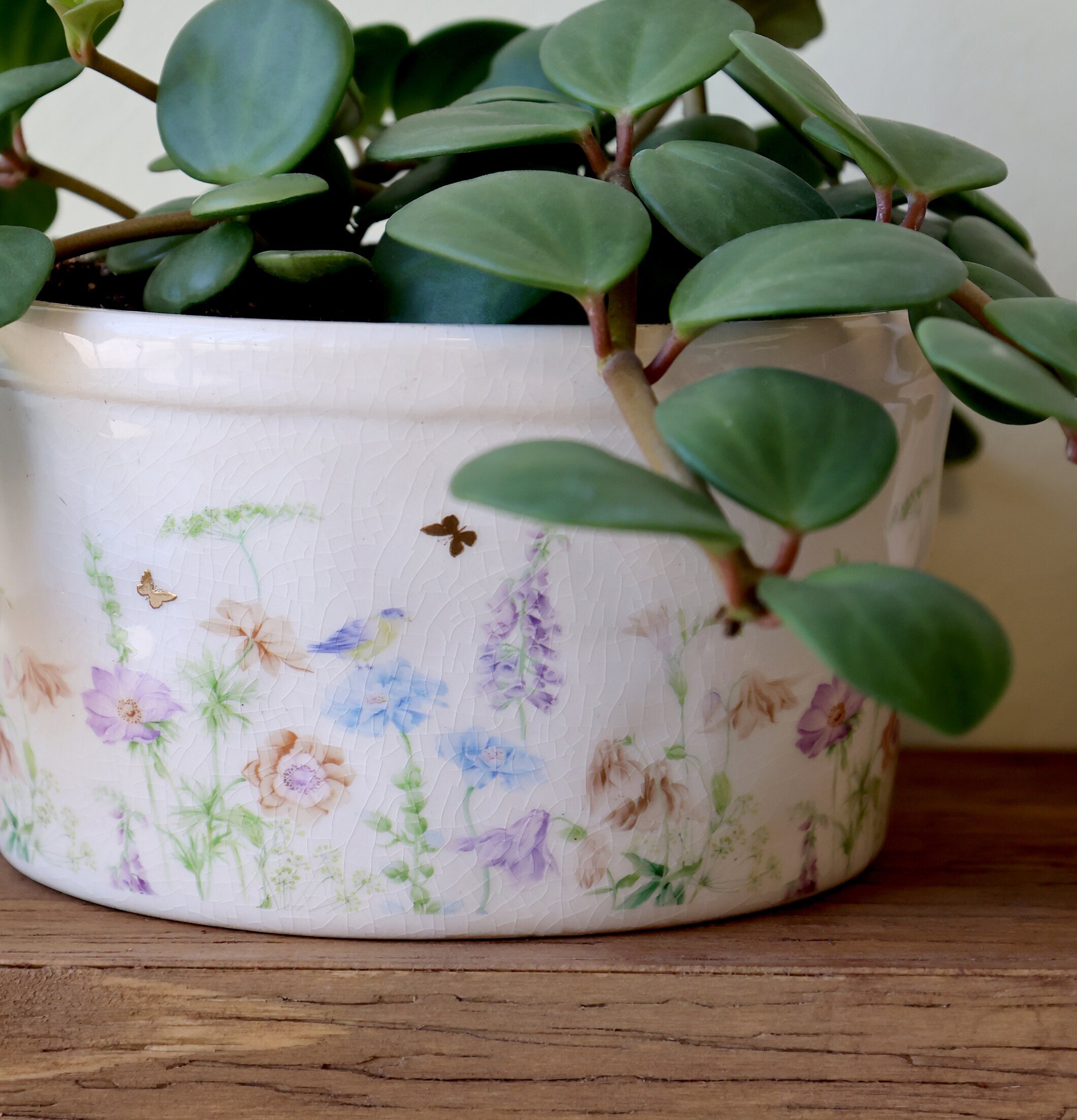 Papillon Kruka Blomster Chic Antique Krukor Örtkrukor Glaskrukor