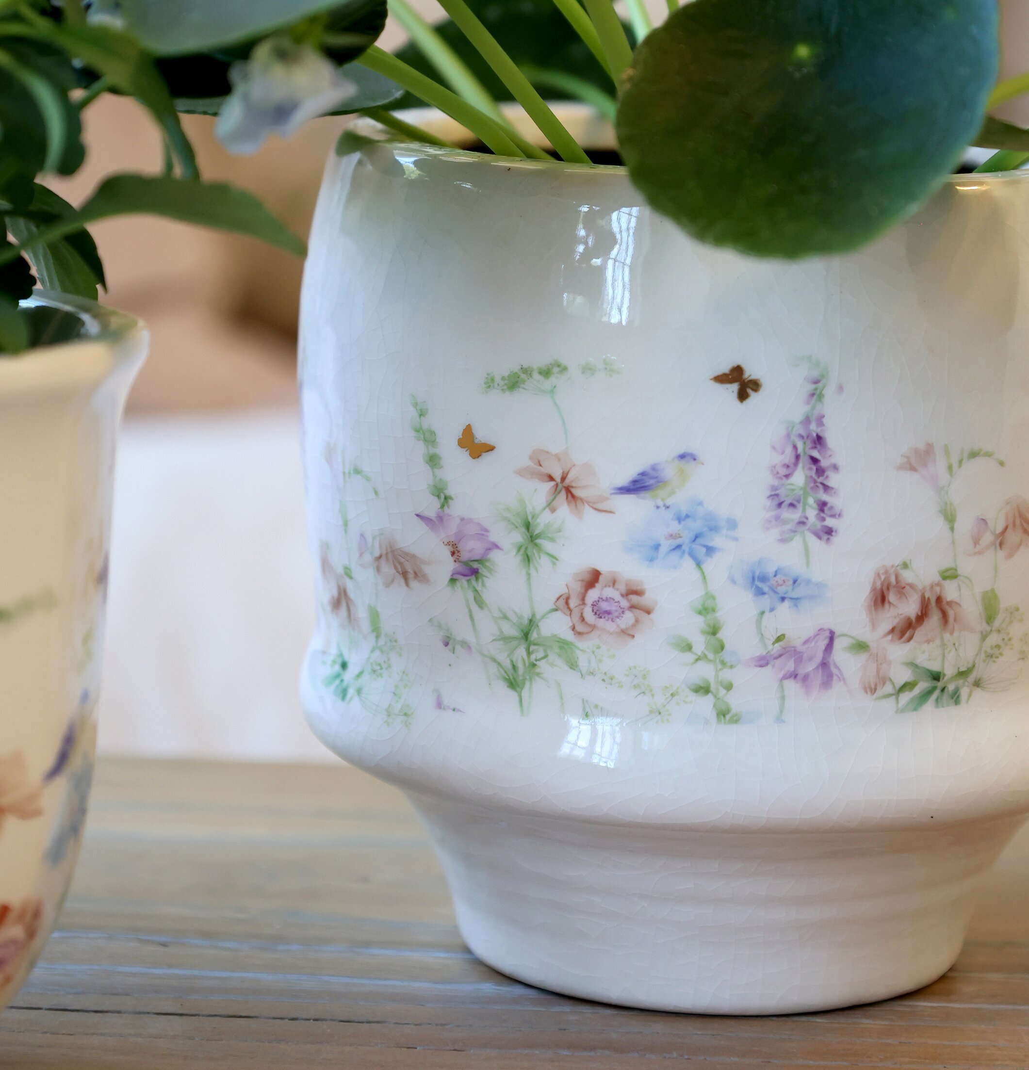 Papillon Kruka Blomster Chic Antique Krukor Örtkrukor Glaskrukor