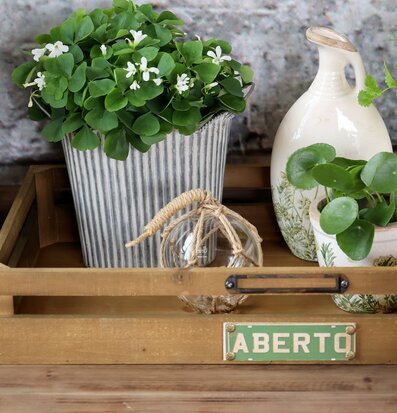 Bild: Glasflöte i trälåda med krukväxter, stilleben