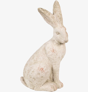 Foto frilagd dekorationshare i offwhite på vit bakgrund