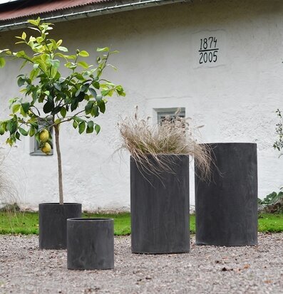 Bild: Metallkrukor på grus med citronträd och gräs