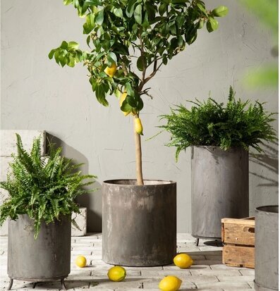 Kruka Utomhus Metall A Lot Decoration Krukor Örtkrukor Glaskrukor