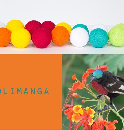 Bild av ljus och färg: levande ljusslinga och natur