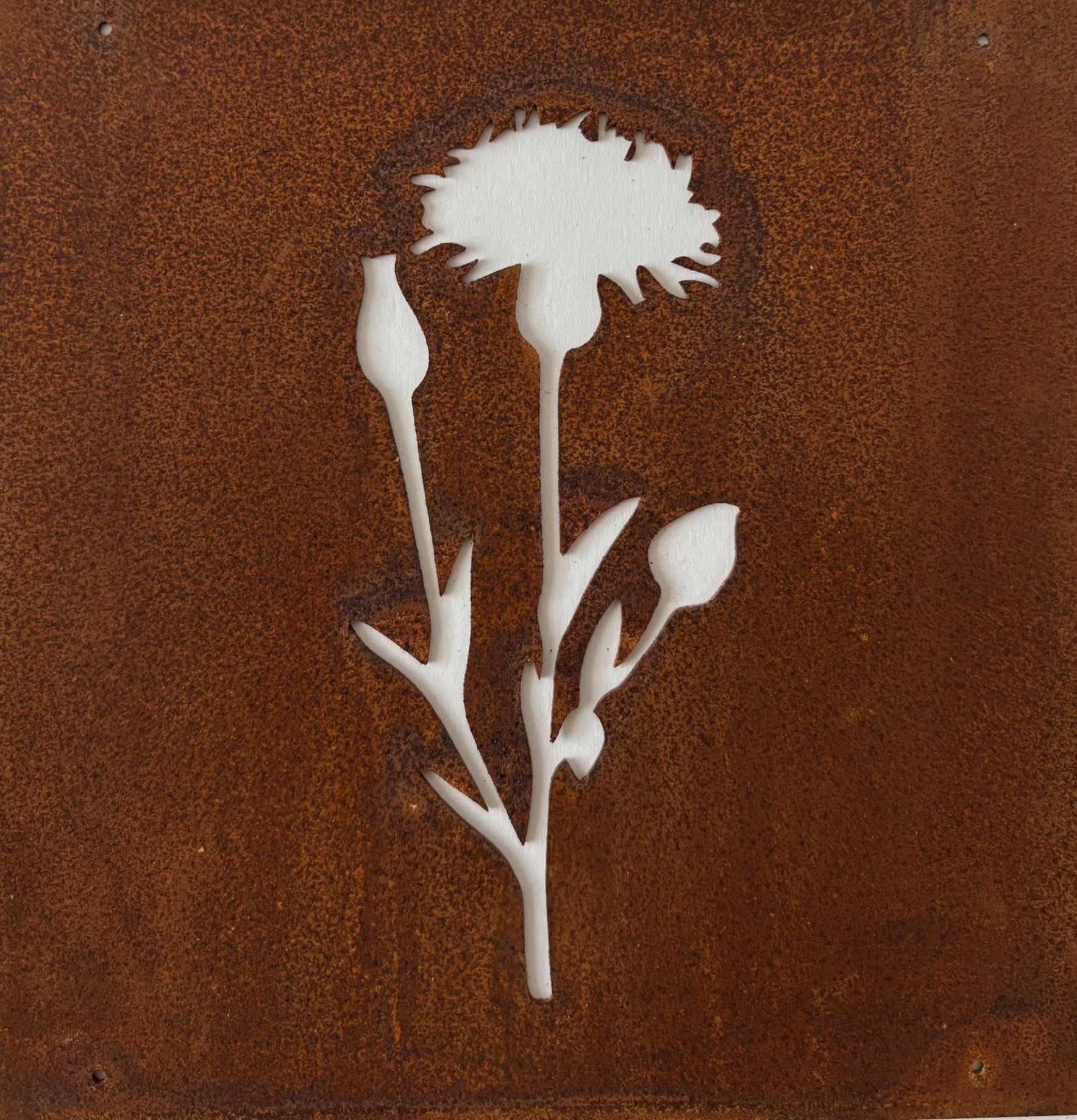 Skylt Blåklint (armeringsnät) Rost Lind Decoration Utomhusskyltar Skyltar för utomhusbruk