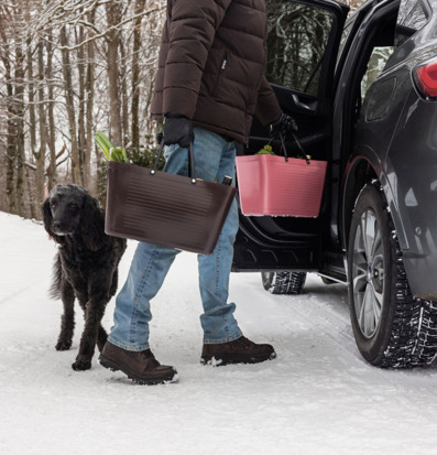 Foto: Vinterlastning vid SUV med bärkassar och hund