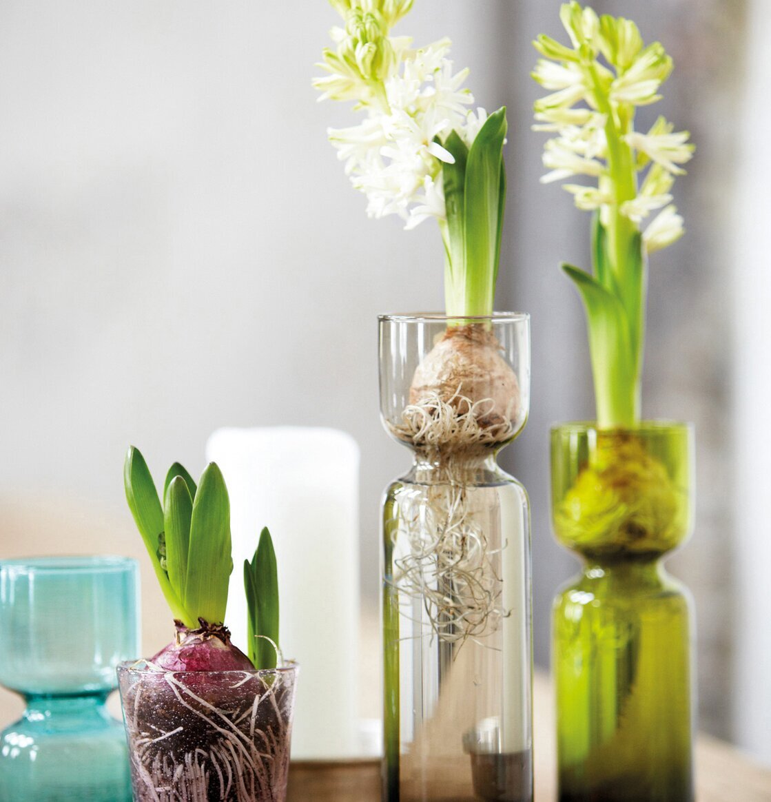 Hyacintvas Celina Blå från House Doctor på rustikt träbord