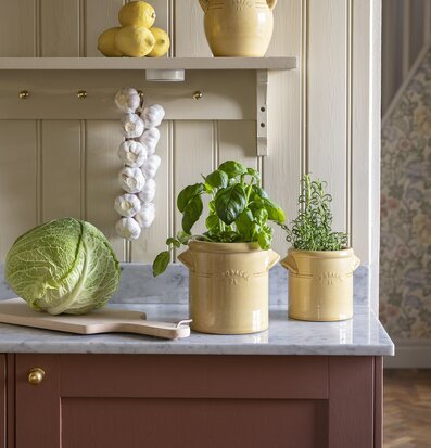 Foto: Gula krus med örter, citroner och vitlök i kök