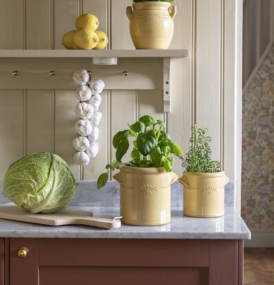 Foto: Gula krus med örter och citroner i köksscen