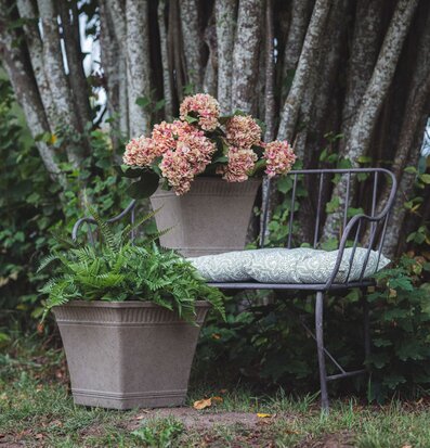 Bild: Utomhuskrukor med ormbunke och hortensia i trädgård