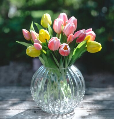 Foto: Rosa och gula tulpaner i räfflad glasvas